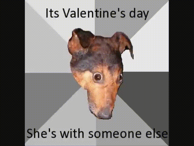 dog.gif